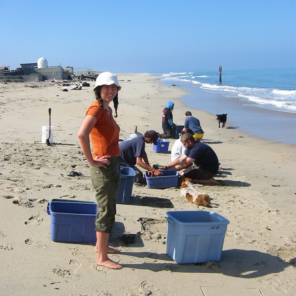 Sampling benthic infauna on the beach in Moss Landing, California
