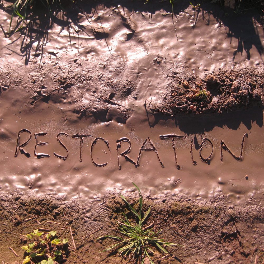 RestorationMud