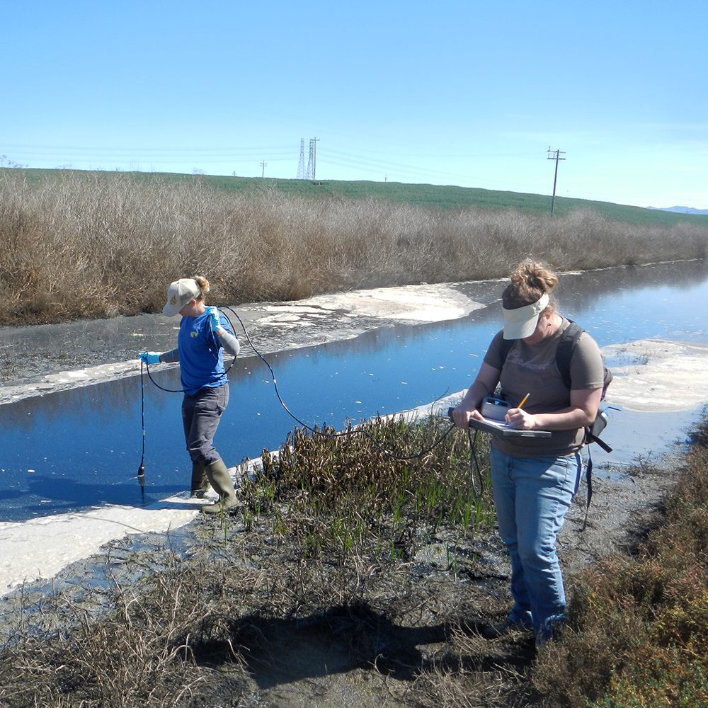Monitoring water quality in Moro Cojo Slough, California