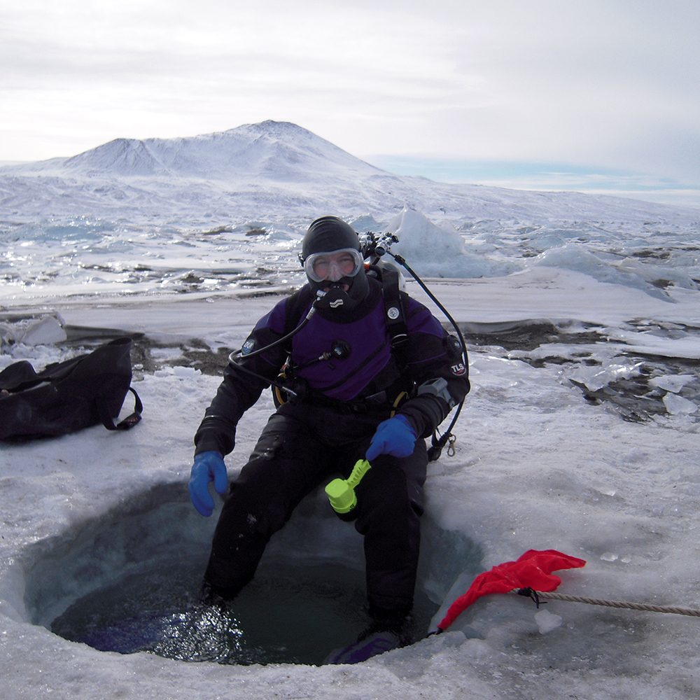 Diving under the ice in Antarctica to study long-term effects of nutrient enrichment on the benthic infaunal community.