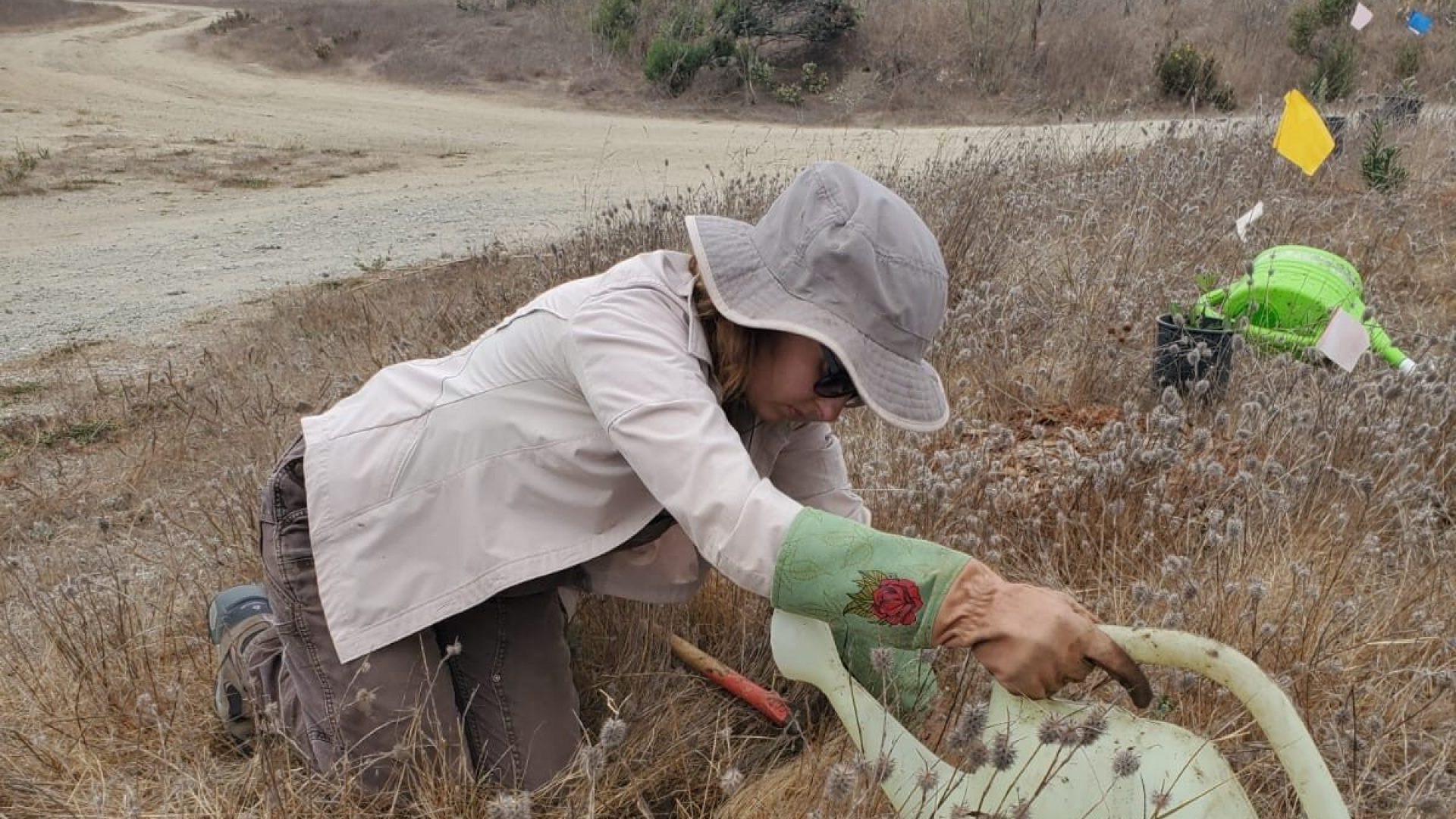 A CC&R crewmember plants and waters a native plant at a mitigation site.