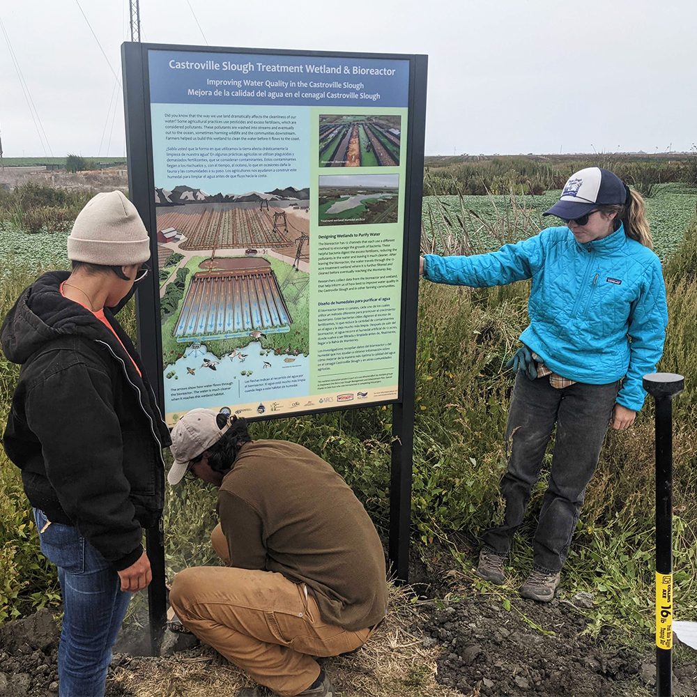Erecting a sign to mark the location of the Castroville Slough Treatment Wetland and Bioreactor.